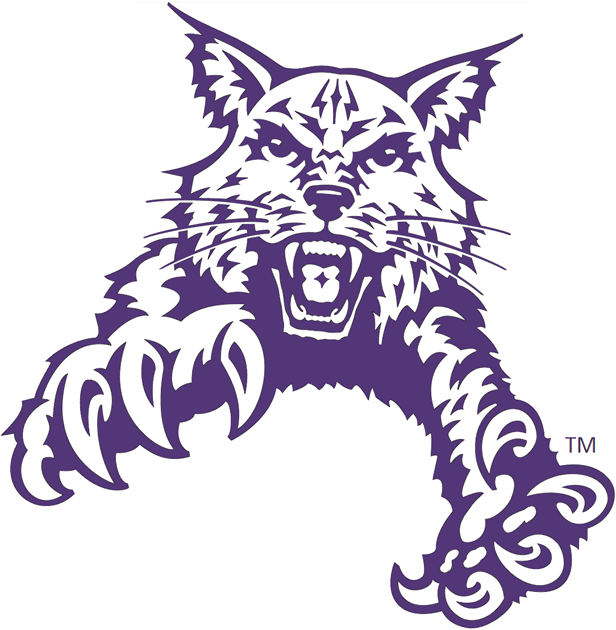 Abilene Christian Wildcats 1997-2012 Partial Logo v2 diy iron on heat transfer